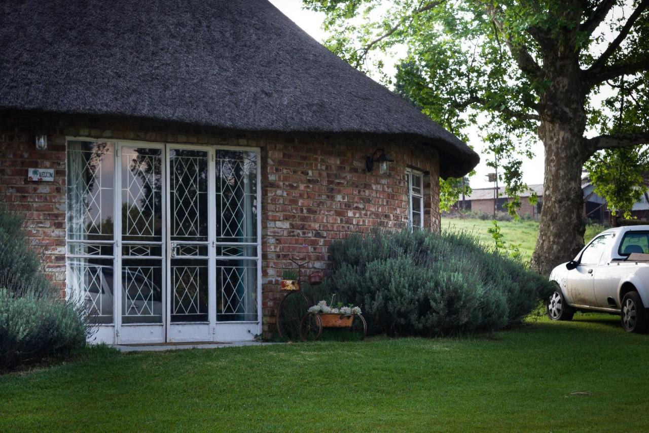 Suikerbosskuur Rondavel & Chalet Amsterdam Eksteriør bilde